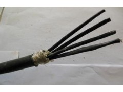 WDZ-RYYP,WDZ-KYYP,WDZ-KYYRP清潔環保電纜