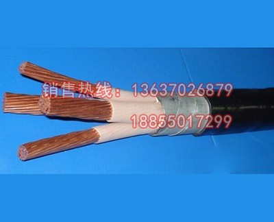 ZRC-YJV22-3*120+2*70交聯電力電纜