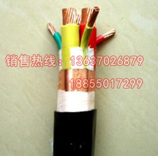 BPYJVPP2 BPVVPP2屏蔽變頻電纜