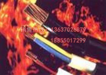 耐火電力電纜 NH-VV NH-YJV