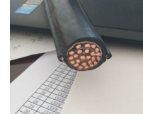 RVVY1G RVVY2G耐油型電動葫蘆電纜